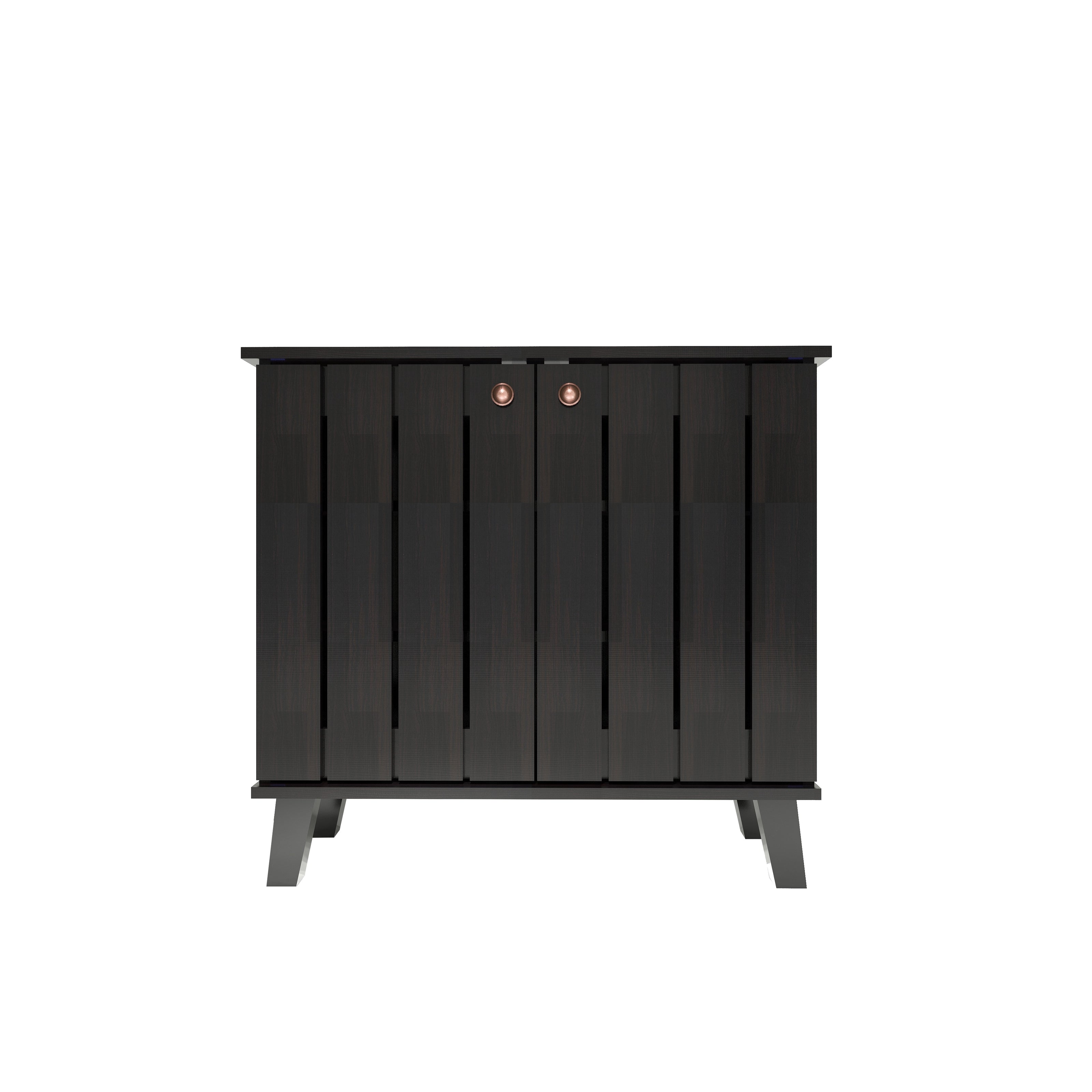 Juhani 2 Door Shoe Cabinet In Wenge