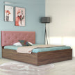 Nirodhah Queen Bed – Leatherette Upholstered Bed with Box Storage – DF2H