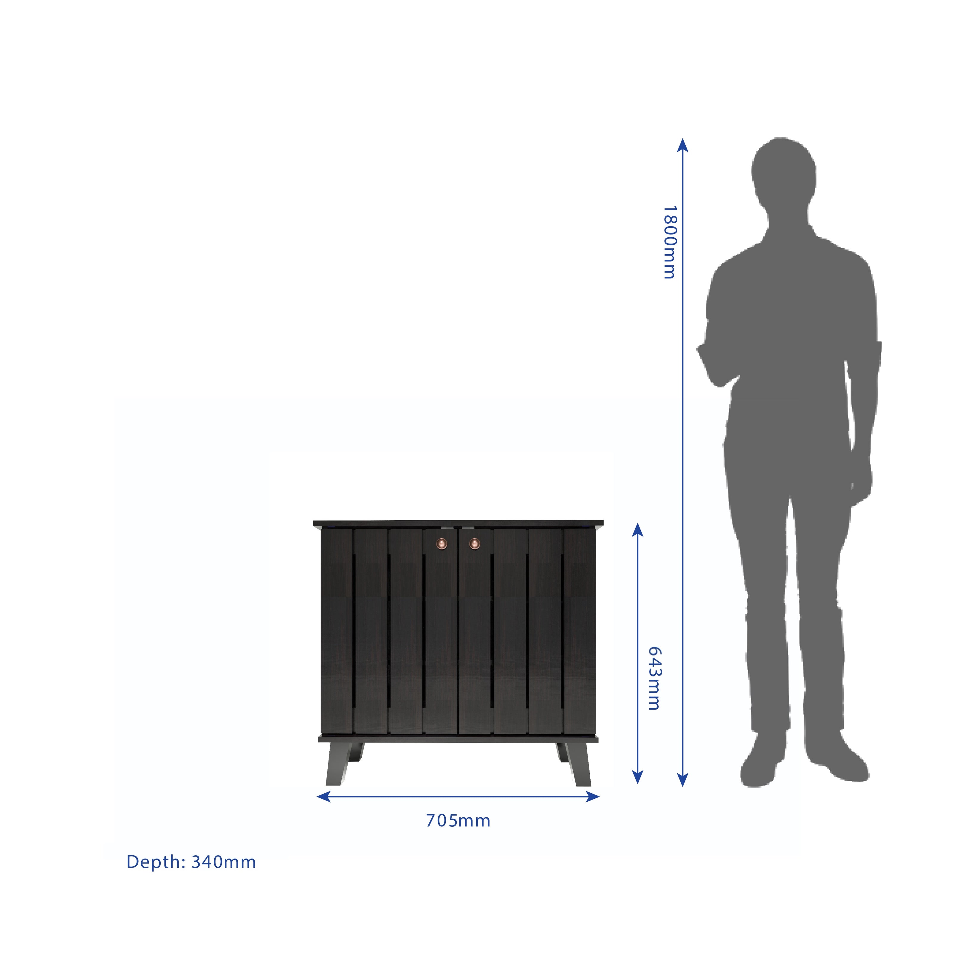 Juhani 2 Door Shoe Cabinet In Wenge