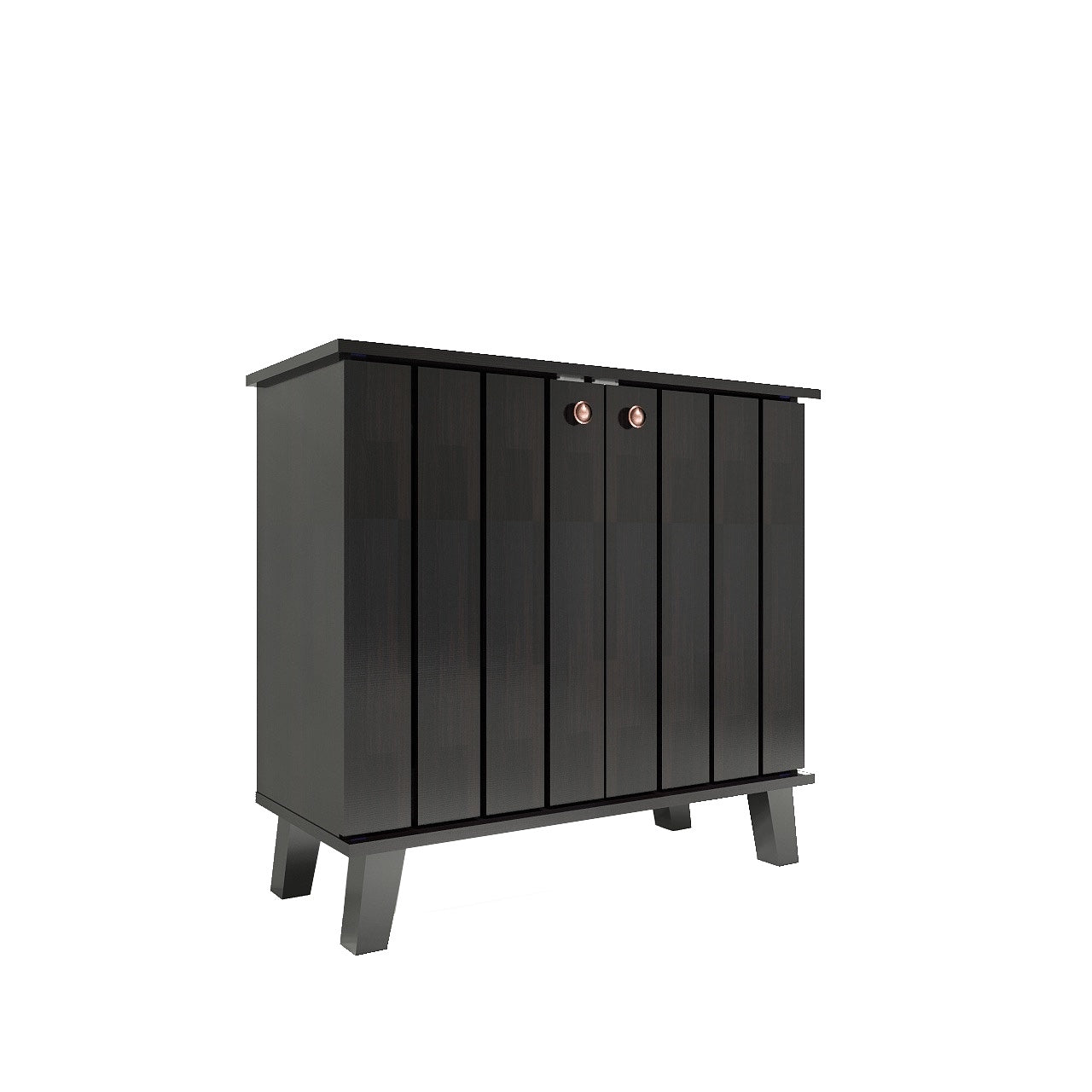 Juhani 2 Door Shoe Cabinet In Wenge