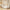 Golden Nest — 9-Piece Premium Home Furniture Combo (Cream & Walnut)