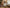 Muse Form — Curated Furniture Packages (Living & Dining)