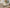 Muse Form — Curated Furniture Packages (Living & Dining)