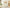 Whispering Cloud — 9-Piece Premium Home Furniture Combo (Cream & Walnut)