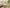 Serene Escape – 9-Piece Premium Home Furniture Combo