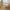 Terra Lume — 9-Piece Home Furniture Combo (Honey Ash & Dull Brown)