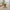 Hearthbeam Dining Table - 4-6 Seater (Light Oak & Antique Oak)