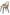 Posh Dining Chair in Beige