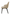 Posh Dining Chair – Beige | Modern Upholstered Comfort