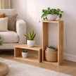 Nativa Linwood solid wood luxury statement unit from Solene Collection by DF2H