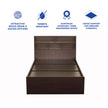 Takeo Single Bed in Walnut Finish (3x6 ft)
