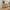 Amara sideboard (Honey Ash) styled with TV in living room