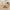 Dining table with 4 chairs — Golden Nest dining set